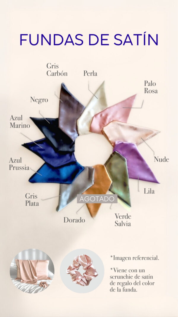 PALETA DE FUNDA SATÍN SANTOS RIZOS
